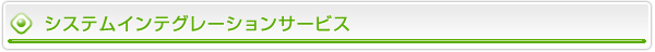 VXeCeO[VT[rX